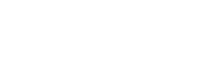 CEO Signature